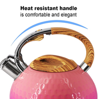 Théière à sifflet 3L pour cuisinière, en acier inoxydable écologique avec poignée en alliage de zinc et couvercle, compatible gaz et induction, pour l'eau, modèle Europe