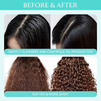 Sampo Minyak Argan Bebas Sulfat untuk Pertumbuhan Rambut, Sampo Anti Ketombe 2 in 1, Bernutrisi Organik, OEM ODM Salon