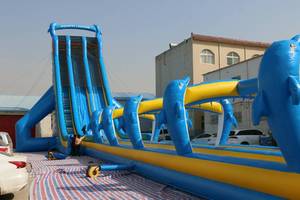 WINSUN Customizable <strong>50m</strong> Giant Adult Hipster <strong>Slip</strong> <strong>and</strong> <strong>Slide</strong> <strong>Inflatable</strong> Water <strong>Slide</strong> - Product Image 6