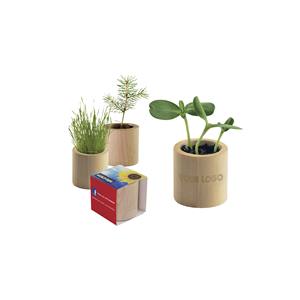 Mini-pots de fleurs/plantes vertes circulaires en bois écologiques à marque blanche – Kit cadeau minimaliste pour plantes d'intérieur - Product Image 1