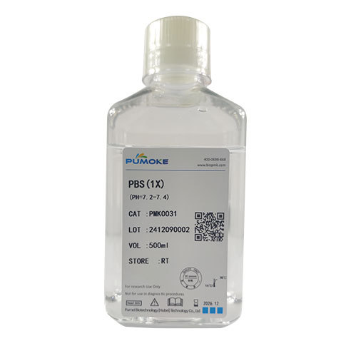 2X SYBR Green QPCR Master Mix