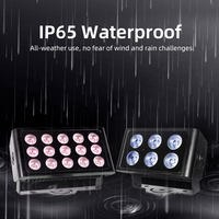 15x5W IP65 LED projecteur extérieur projecteur RGBW émettant la lumière décorative architecturale carrée de faisceau étroit pour les façades de bâtiment