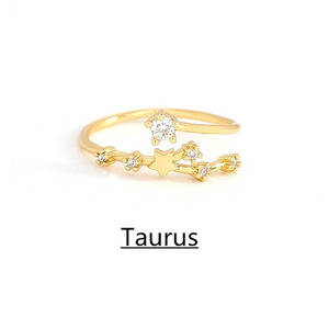 Zodyak yüzükler kadınlar için doğum günü hediyeleri 14K altın kübik zirkonya sevimli yıldız butik kişiselleştirilmiş yüzük Astrology göksel yüzük - Product Image 1