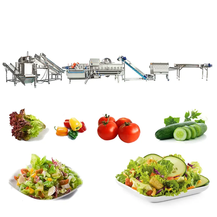 Salade Groente Productie Systeem Industriële Groente Wassen Snijden Drogen Verwerking Lijn