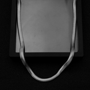 2026 New Simple <b>Titanium</b> Steel Snake <b>chain</b> Collarbone Necklace Silver Plated Popular Design Unisex's Necklaces Fashionable Jewel - Product Image 1