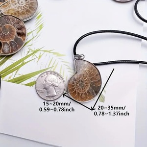Conchiglia di pietra grezza minerale minerale esemplare naturale conchiglia ciondolo fossile collana per uomo <span class=keywords><strong>donna</strong></span> - Product Image 5