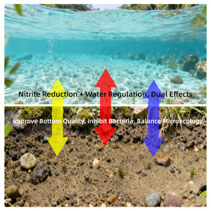 CY <span class=keywords><strong>Nitro</strong></span> 50 : Longue durée, sûr et efficace : Réduit rapidement les nitrites, améliore la qualité de l'eau et les additifs pour l'alimentation aquatique - Product Image 5