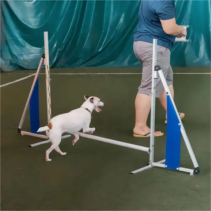 chien agilité équipement en aluminium pliable haie chiens équipement de  formation agilité kit de formation chien agilité saut