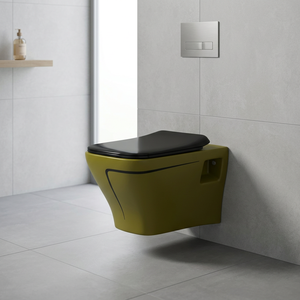 WC monobloc moderne en céramique à siphon, à poser au sol, couleur rustique, pour salle de bain - Product Image 2