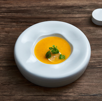 Assiette à steak occidentale haut de gamme, assiettes à dessert de luxe en mélamine A5 de haute qualité, assiettes peu profondes, assiettes à pâtes pour usage domestique et vente en gros