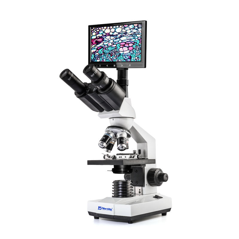 Murzider 40-400X Biological Microscope for Observation for Teaching ...