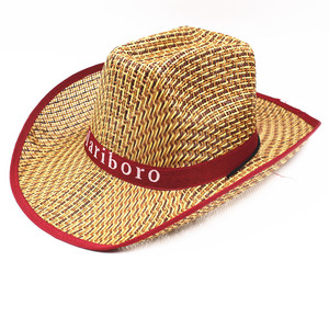 Colorido impreso ala grande trenzado verano sombrero <span class=keywords><strong>de</strong></span> paja cordón Papyrus Panamá sombrero <span class=keywords><strong>de</strong></span> vaquero occidental para hombres pesca viaje Casual - Product Image 6