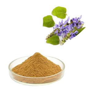 Hongda bubuk ekstrak Coleus Forskohlii alami murni Forskolin 10% 20% 98% - Product Image 1