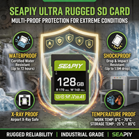 Carte SD 256 Go haute compatibilité, processus mature, haute durabilité pour enregistreur automobile, caméra de sécurité, dispositif médical