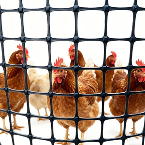 Malla <span class=keywords><strong>de</strong></span> Geogrid Biaxial <span class=keywords><strong>de</strong></span> PP Negra, Malla <span class=keywords><strong>de</strong></span> 3 cm <span class=keywords><strong>de</strong></span> Apertura y 50 m <span class=keywords><strong>para</strong></span> Cría <span class=keywords><strong>de</strong></span> Aves <span class=keywords><strong>de</strong></span> Corral, Protección <span class=keywords><strong>de</strong></span> Huertos y Granjas - Product Image 1