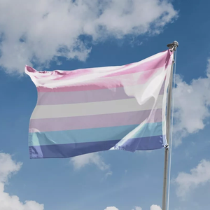 Alta calidad personalizada 3x5 FT Bigender Pride Flag orgullo bandera LGBT desfile productos colorido Arco Iris impermeable - Product Image 2