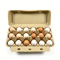 Boîte d'emballage pour œufs jetable, biodégradable, recyclable, respectueuse de l'environnement, avec 18 œufs, antichoc