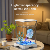 Klares Quadratisches Glas-Mini-Aquarium mit Farbigem LED-Bodenlicht für Betta-Fische, Wasserpflanzen, Schreibtisch-Dekoration für Guppy, Garnelen und Kleine Fische