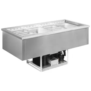 New Wall Cooling Drop In Refrigerated Stainless Steel Ice Cold Well