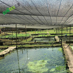 Filet d'ombrage anti-dégradation pour soleil / Filet d'ombrage en HDPE pour jardin, couverture en plastique pour plantes et arbustes d'hiver - Product Image 6