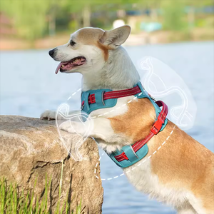 Sunraymascota yeni Pet ürünleri köpek koşum üreticisi rahat Premium adım ayarlanabilir köpek koşum için büyük küçük köpek - Product Image 2