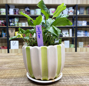 BSCI Certificated Planta Estaca Marcadores Planta Etiquetas 4 "X 5/8" - Product Image 2