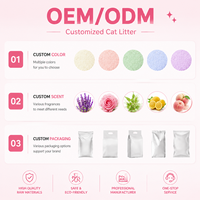Litière pour chat au manioc à absorption rapide et agglomération rapide, formule avancée, fournisseur d'usine, biodégradable, OEM/ODM, sable de toilette pour animaux de compagnie