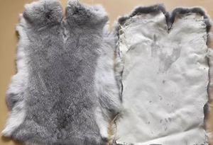 Piel de Conejo <span class=keywords><strong>100%</strong></span> Auténtica, Piel de Conejo en Venta - Product Image 5