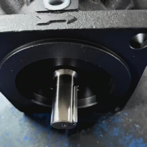 Bomba de Paletas Hidráulica de Caudal Variable P5F/VP6F-A2/A3/A4/A5/B2/B3/B4/B5-50/50S VP5F-A5-50 VP5F-A3-50 VP5F-A4-50 - Product Image 4