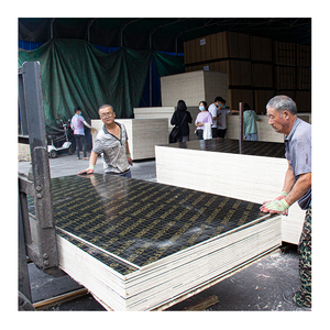 Ván Ép Mặt Ván Khuôn Bê Tông Lõi Cây Dương Đầy Đủ 18Mm Ván Ép Ván Trượt Biển - Product Image 4