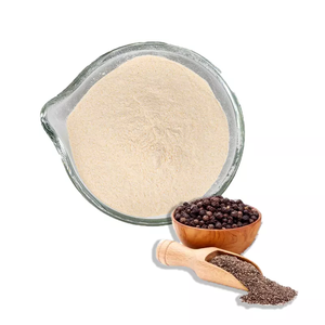Extracto de Piperina en Polvo de Alta Calidad Proveniente de Pimienta Negra Natural con Excelentes Propiedades de Flujo para Ingrediente Funcional - Product Image 2