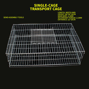 Evcil hayvan yetiştirme için güvercin yetiştirme güvercin kafesi için dayanıklı galvanizli çelik tel Mesh - Product Image 2