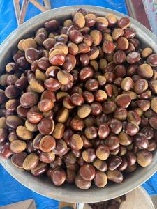 Castañas Frescas de Nueva Cosecha a Granel con Cáscara Intacta, Granos Rellenos, Sabor Dulce Natural, Grado A, Ricas en Proteínas y Fibra, Ideales para Aperitivos y Cocina - Product Image 4