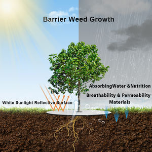 ผ้าคลุมดินสีดำสำหรับจัดสวน ป้องกันวัชพืช ขนาด 5x5 ฟุต สำหรับสวนผลไม้ อุปกรณ์ทำสวน - Product Image 6