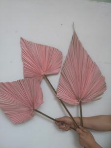 Hojas <span class=keywords><strong>de</strong></span> palma secas <span class=keywords><strong>de</strong></span> cobre Rosa <span class=keywords><strong>Flores</strong></span> reales <span class=keywords><strong>naturales</strong></span> pequeñas en forma <span class=keywords><strong>de</strong></span> corazón para decoración <span class=keywords><strong>de</strong></span> hogar <span class=keywords><strong>de</strong></span> boda DIY - Product Image 5