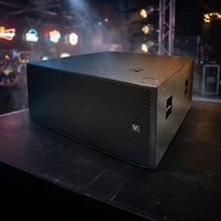Haut-parleur passif à double woofer TP221HL de 21 pouces - Audio professionnel haute puissance pour mariages, bars, scènes et événements en plein air