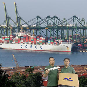 ตัวแทนขนส่งทางทะเลราคาถูกที่สุด บริการดรอปชิปปิ้งจากจีนไปเยอรมนี ฝรั่งเศส อิตาลี เม็กซิโก สหราชอาณาจักร สหรัฐอเมริกา บริการขนส่งสินค้าแบบ FBA DDP - Product Image 6