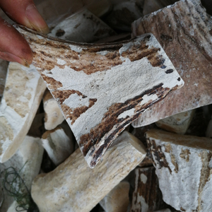 Lu Jiao Shuang natural crudo seco Degelatined astas Cornu <span class=keywords><strong>Cervi</strong></span> Degelatinatum para la venta - Product Image 2