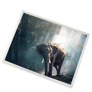 A-si TFT-LCD 8 inç 800(RGB)* 480 endüstriyel ekranların komple aralığı TX20D200VM5BAA iyi fiyat lcd ekran modülü - Product Image 1