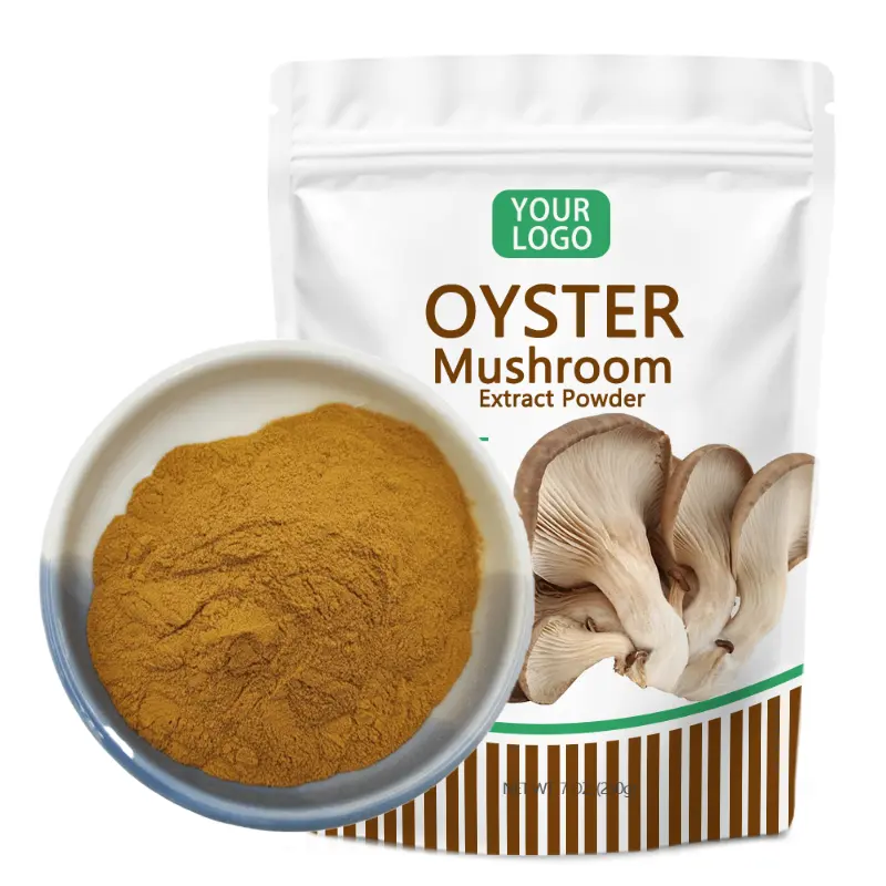 OEM Private Label Oyster polvere di ostrica fungo estratto in polvere