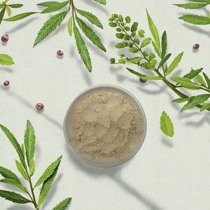 Экстракт женьшеня Panax водорастворимый, 10-80% гинзенозидов (УФ-стабилизированных) - Product Image 5