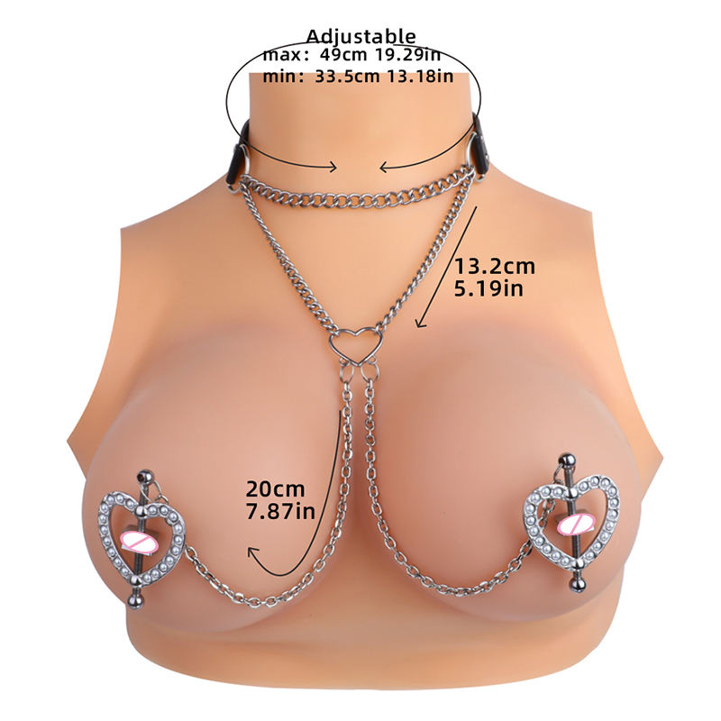 พร้อมสายจูง-สีเงิน