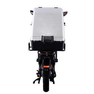 Scooter de Color Personalizado, 4KW de Potencia, 100km de Autonomía, Carga en 4 Horas, Ideal para Reparto Urbano - Product Image 3