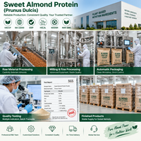Poudre de protéines d'amande douce Prunus Dulcis sans gluten, protéines végétales végétaliennes pour la pâtisserie, les boissons, les barres protéinées, les fabricants, non-OGM
