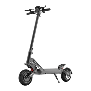 Precio de almacén de la UE de fábrica, conducción barata, <span class=keywords><strong>rodillo</strong></span> OEM de alta calidad, 48V, 800W, 10 pulgadas, Scooter Eléctrico plegable para adultos - Product Image 2