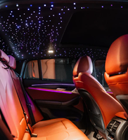 Kit d'éclairage intérieur pour voiture avec étoiles, 16W, 500 fibres optiques compactes, télécommande et application, pour plafond de voiture
