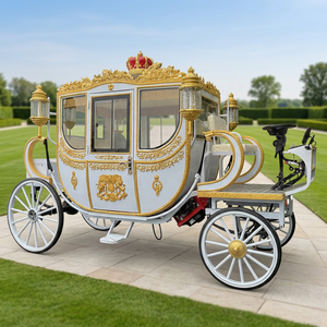 Charrette royale de qualité supérieure pour mariages et visites touristiques, véhicule électrique de type calèche pour mariages - Product Image 1