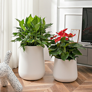 Jardinière auto-arrosante, plastique PP, moulage direct, design conique moderne. Convient pour la maison, le bureau et le jardin extérieur - Product Image 4