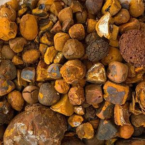 Niu Huang中国ハーブベゾア牛ガルスストーンスライス乾燥粉末スパイス生加工タイプさまざまな輸出 - Product Image 4