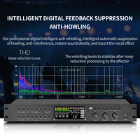 TNH KT-1/KTS-1 préamplificateur professionnel processeur d'écho processeur audio avec suppresseur de retour pour karaoké à domicile KTV